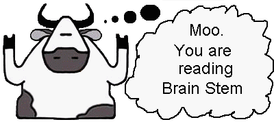 Brain Stem